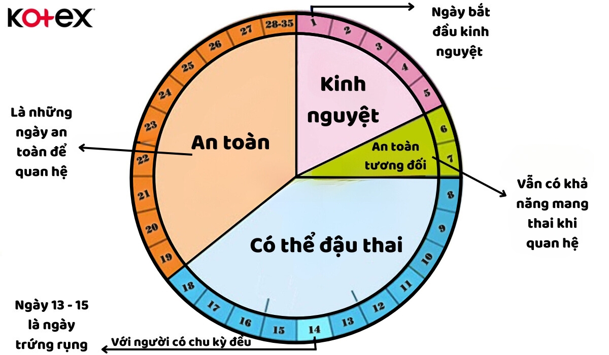 thời gian rụng trứng