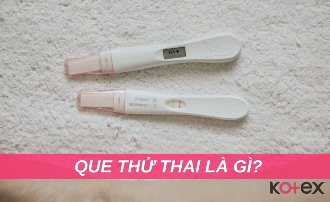 Que thử thai là gì?