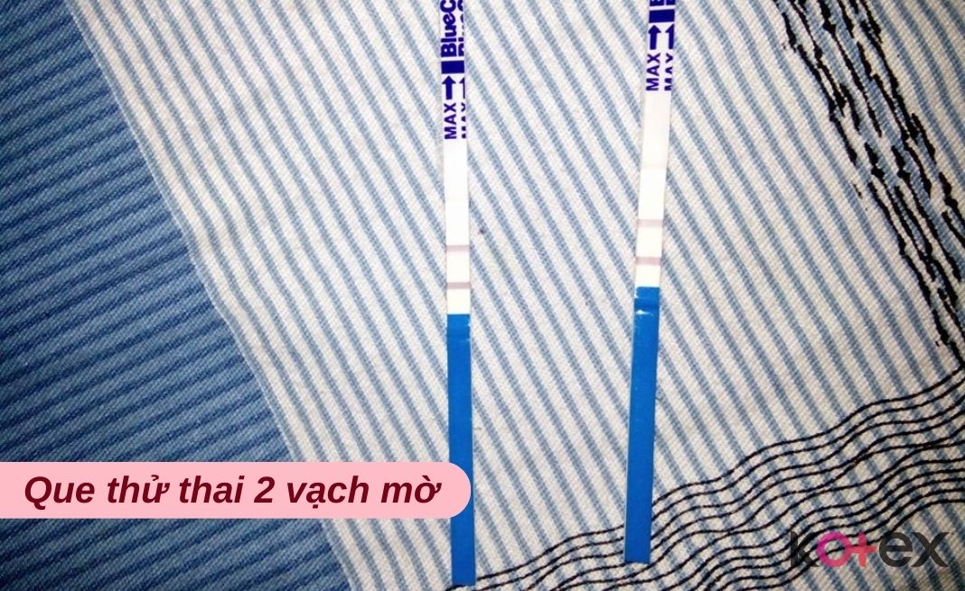 ảnh que thử thai 2 vạch mờ, tự chụp