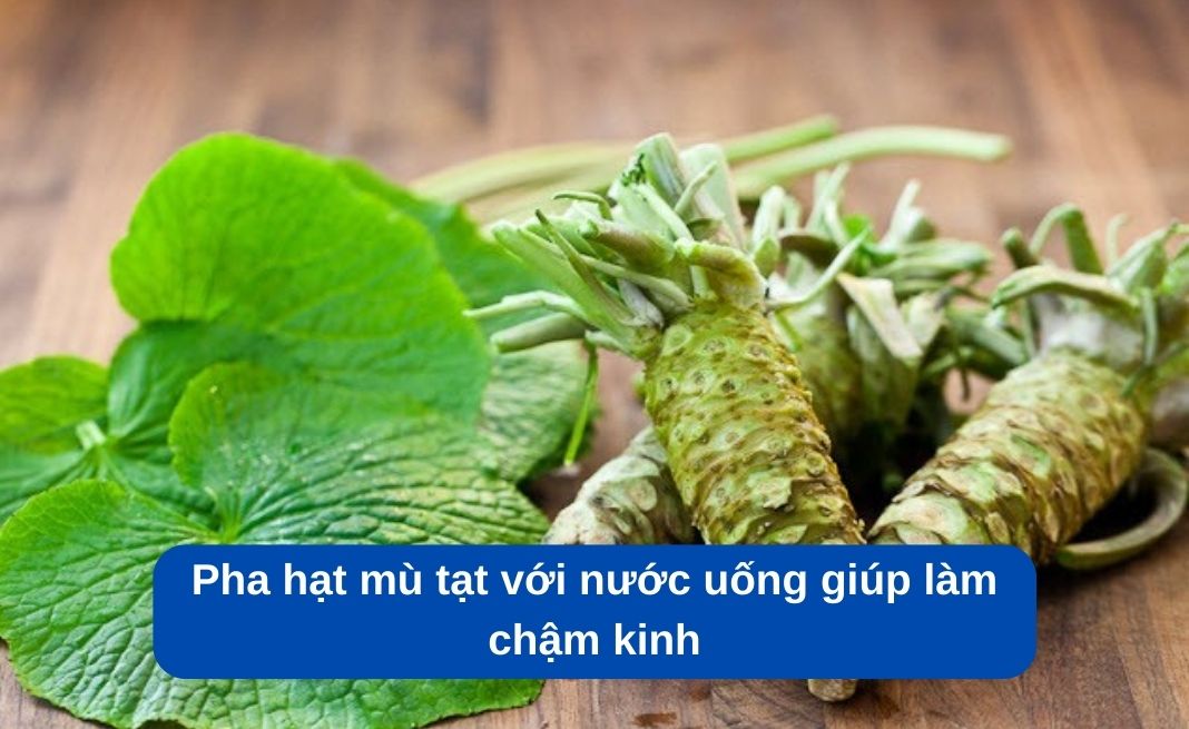 Cách làm chậm kinh nguyệt đơn giản bằng mù tạt