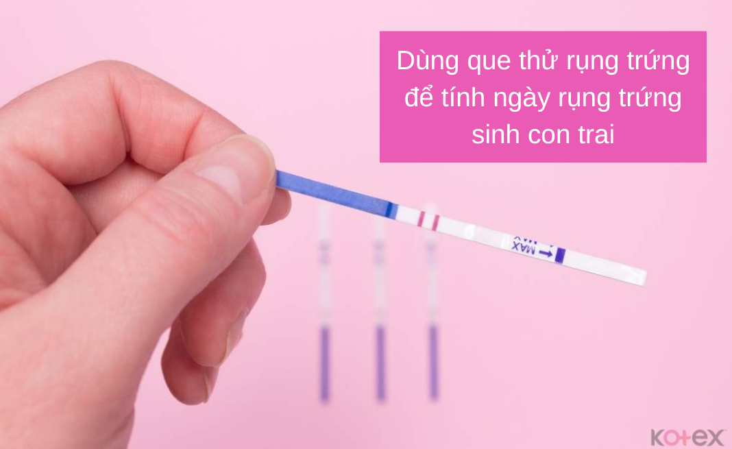 Dùng que thử rụng trứng để tính ngày rụng trứng sinh con trai 