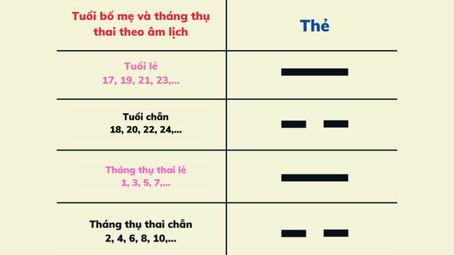 Bảng ví dụ về các cách thể hiện của thẻ theo tuổi và tháng thụ thai