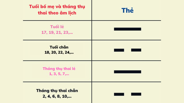 Bảng tuổi bố mẹ và tháng thụ thai âm lịch biểu diễn theo thẻ