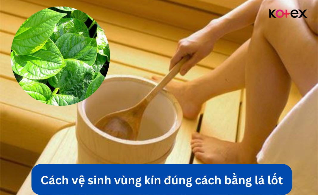 Cách vệ sinh vùng kín đúng cách bằng lá lốt