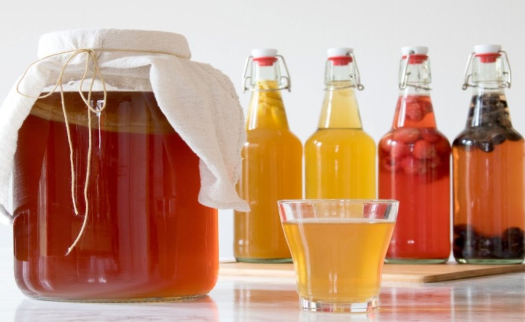 Kombucha cũng là thức uống giàu probiotic