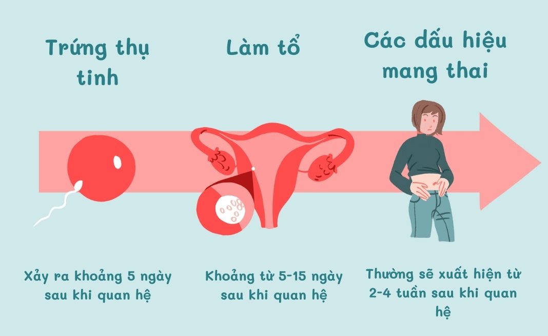 dấu hiệu trứng gặp tinh trùng chính xác