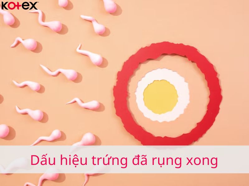 Dấu hiệu trứng đã rụng xong