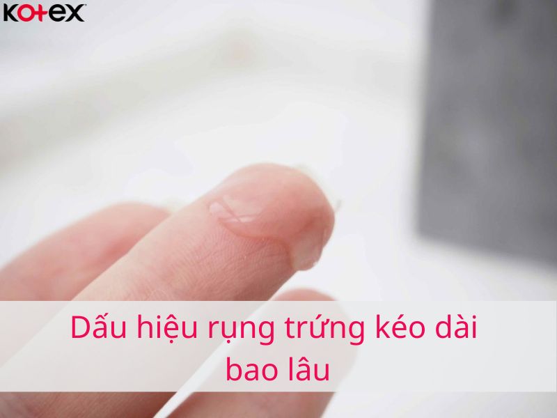 Dấu hiệu rụng trứng kéo dài bao lâu