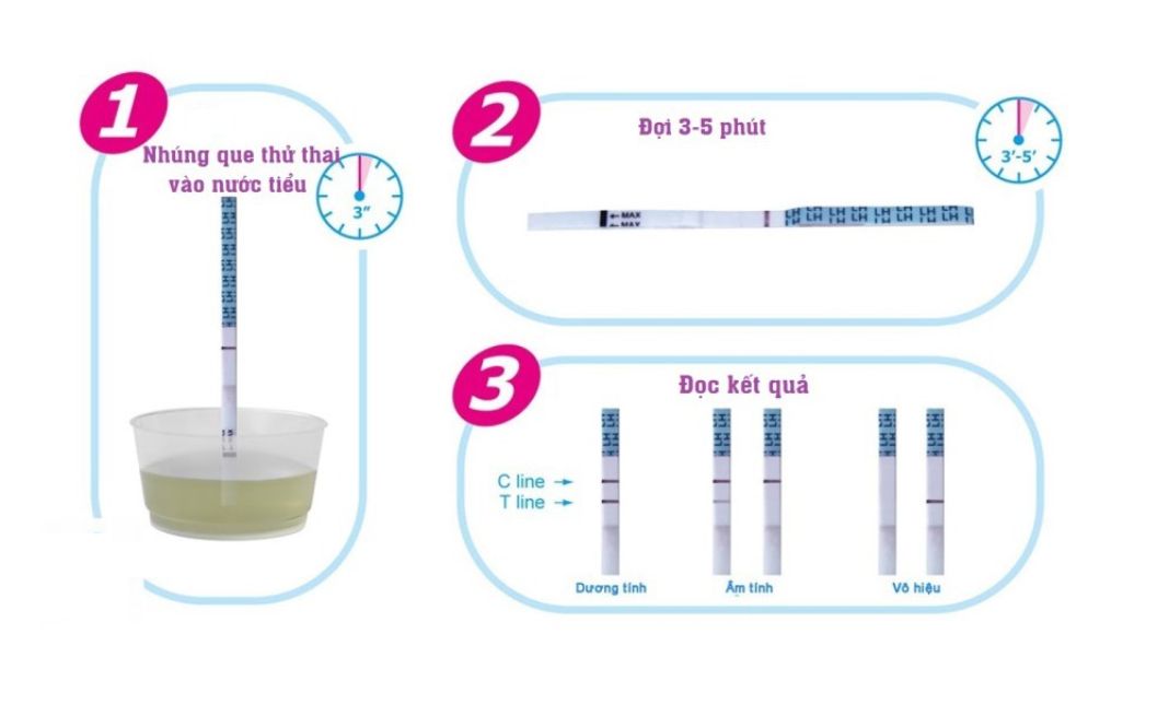 Quy trình sử dụng que rụng trứng chỉ với 3 bước đơn giản là lấy mẫu nước tiểu, nhúng và đợi kết quả