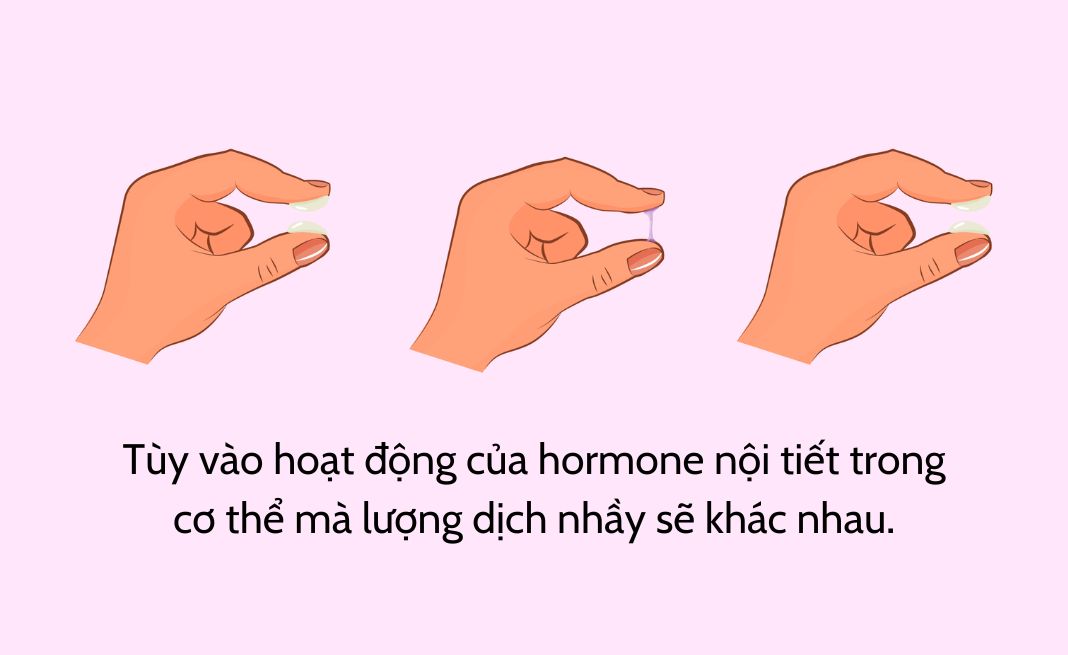 Tùy vào hoạt động của hormone nội tiết trong cơ thể của nàng mà lượng dịch nhầy sẽ khác nhau