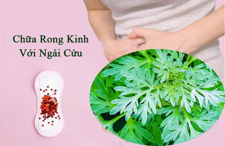 Lá ngải cứu - mẹo vặt chữa rong kinh hiệu quả được rất nhiều bạn gái sử dụng