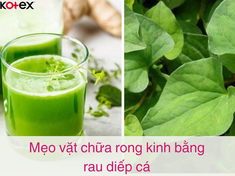 Mẹo vặt chữa rong kinh bằng diếp cá