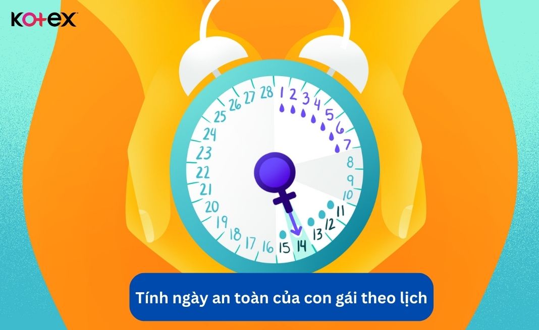 Tính ngày an toàn của con gái theo lịch