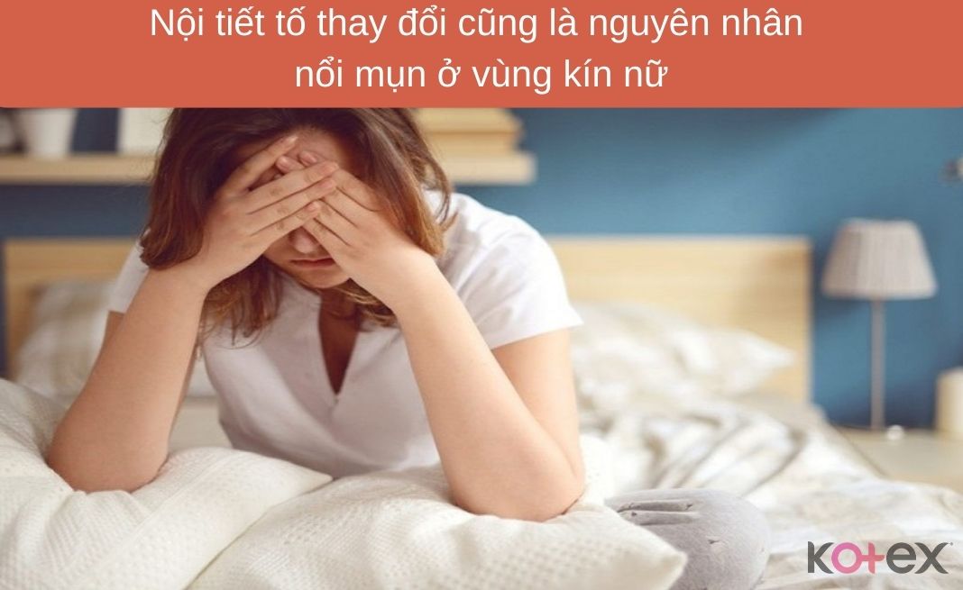 Nội tiết tố thay đổi cũng là nguyên nhân bị nổi mụn ở vùng kín nữ