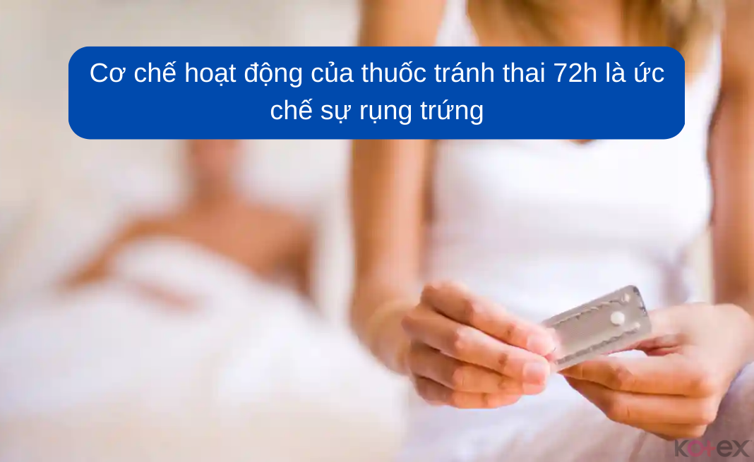  Cơ chế hoạt động của thuốc tránh thai 72h là ức chế sự rụng trứng