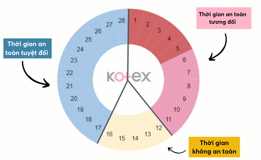 Cách tính thời điểm an toàn để quan hệ theo chu kỳ 28 ngày